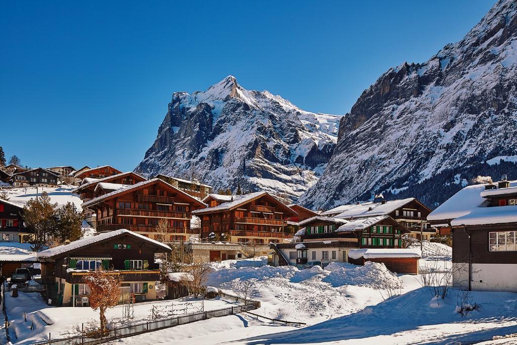 Mom - Alpine Boutique Apartments, Chalet Fagus, Terrace Studio جريندلوالد المظهر الخارجي الصورة