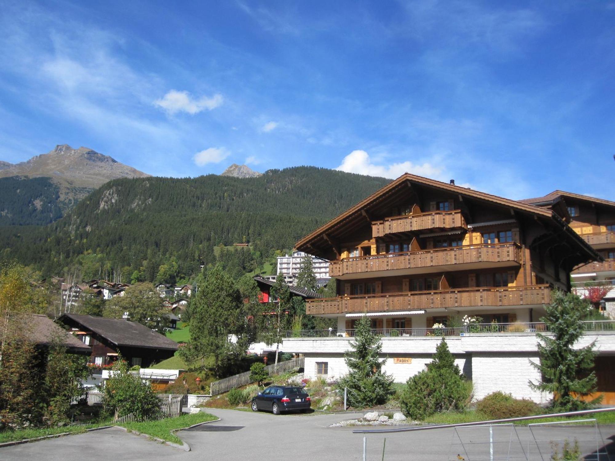 Mom - Alpine Boutique Apartments, Chalet Fagus, Terrace Studio جريندلوالد المظهر الخارجي الصورة