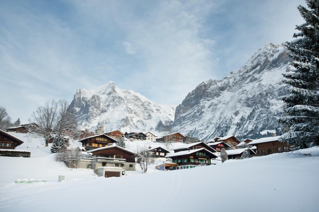 Mom - Alpine Boutique Apartments, Chalet Fagus, Terrace Studio جريندلوالد المظهر الخارجي الصورة